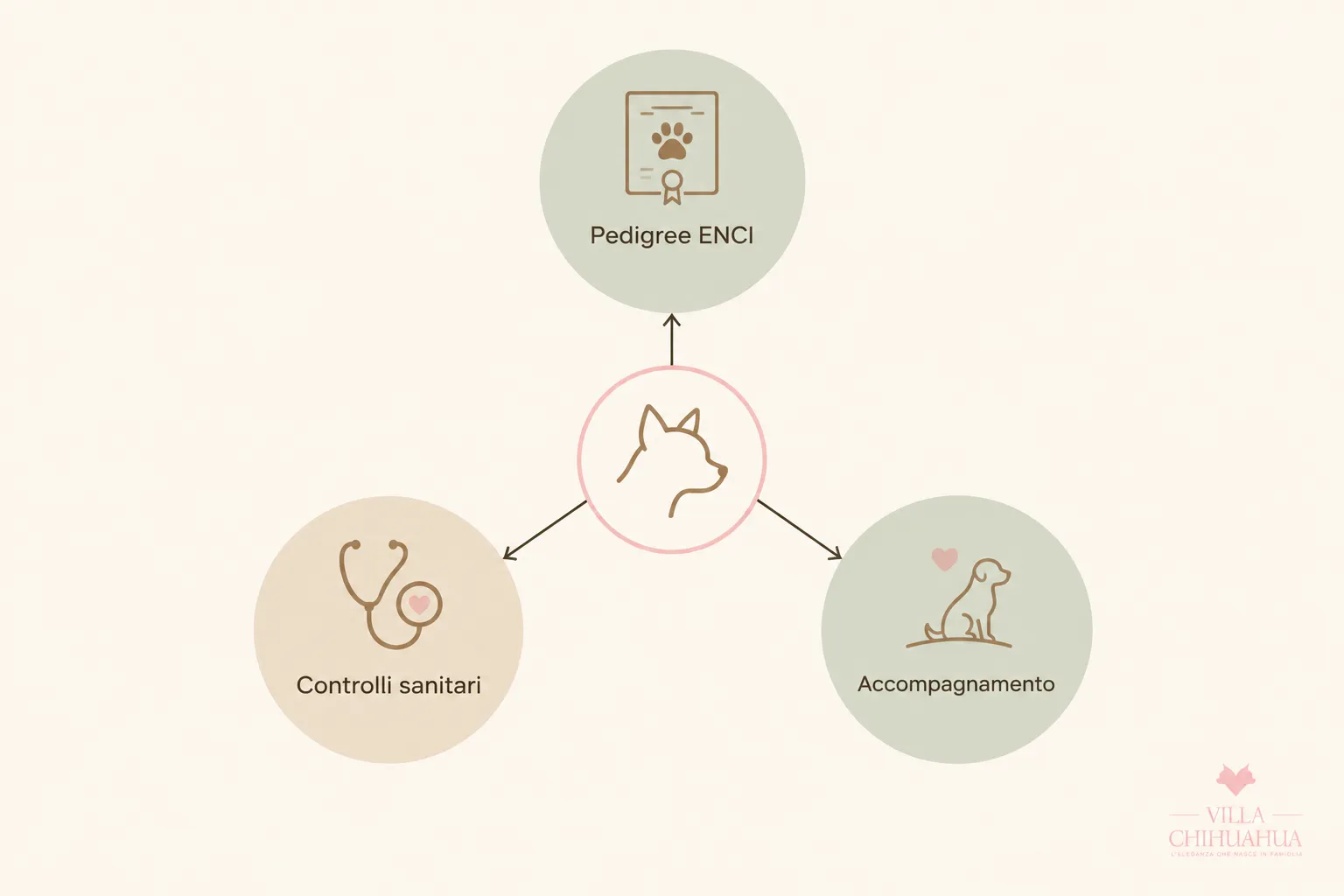 Schema dei tre elementi che incidono sul prezzo di un cucciolo