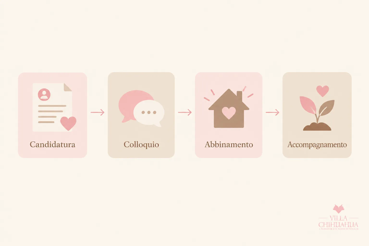 Schema delle fasi del percorso di affido di un cucciolo