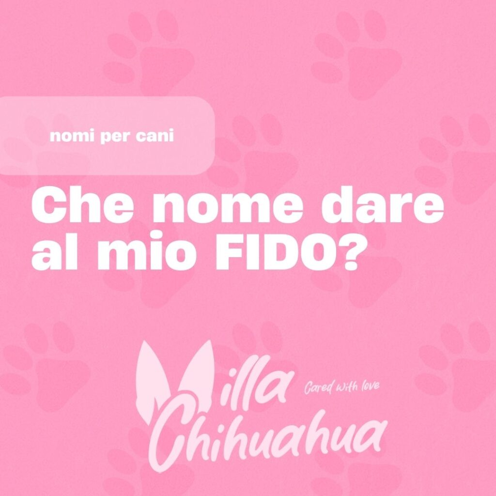 nomi di chihuahua