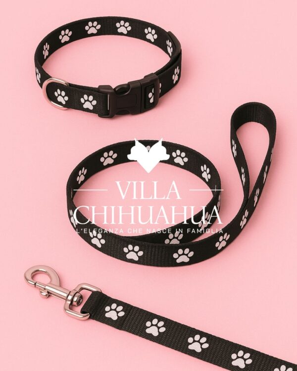 Set collare e guinzaglio