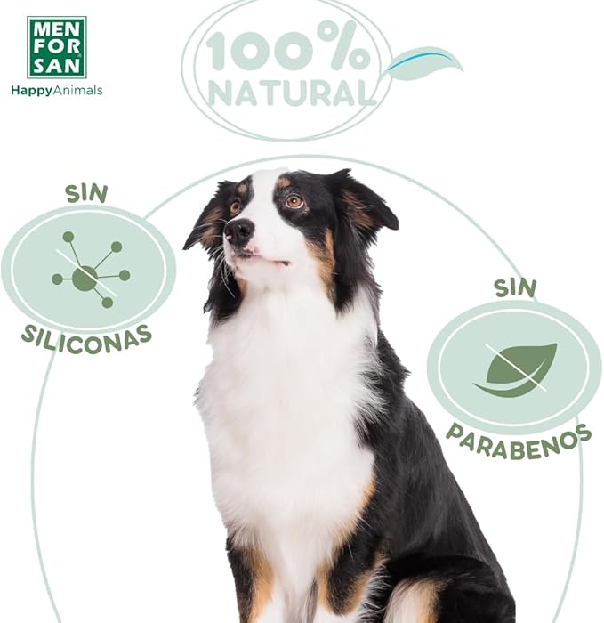 Menforsan Shampoo alla Biotina per Cani 300 ml – Rigenerante e Anticaduta - immagine 2