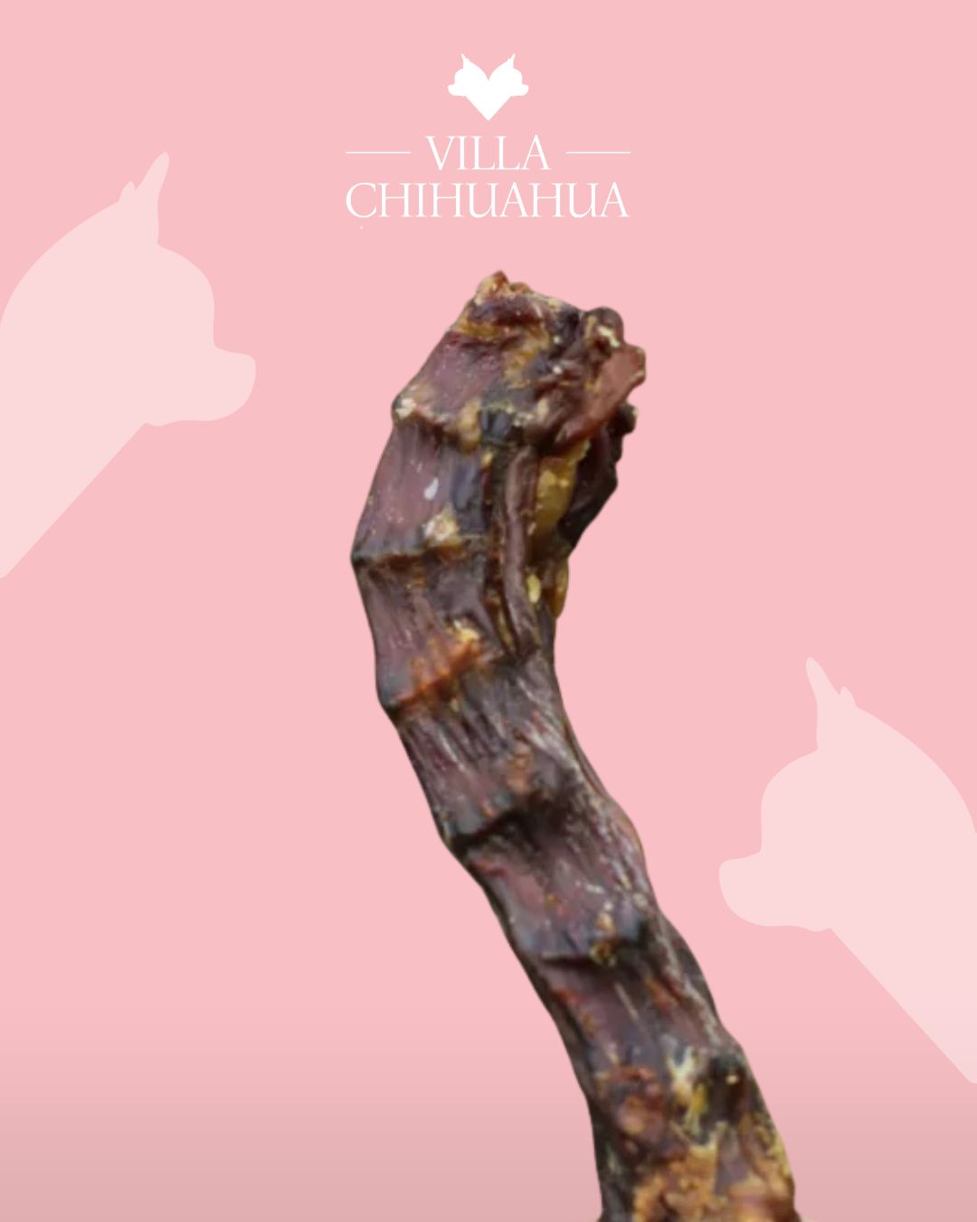 Colli di Anatra essicati: masticativo naturale