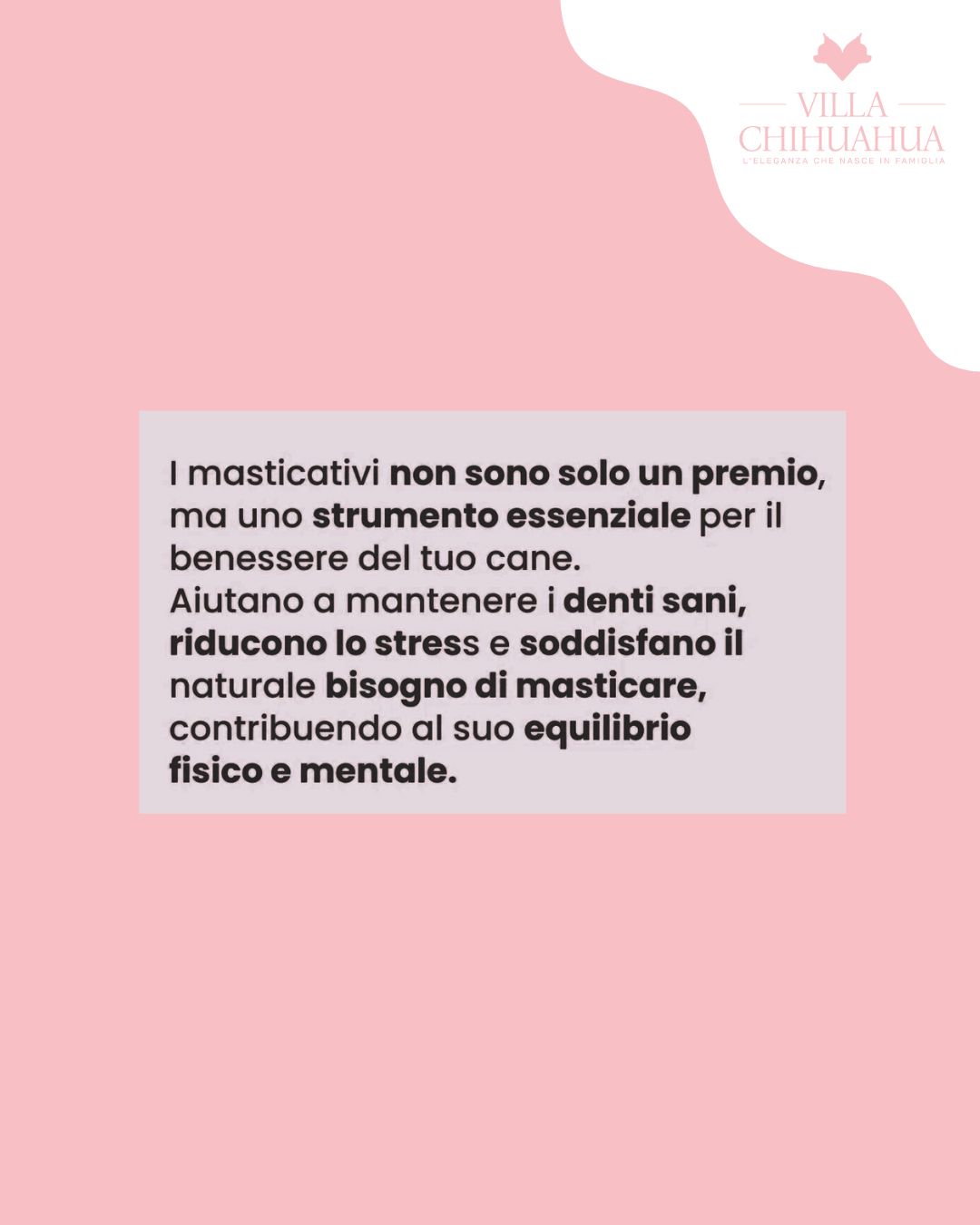 Colli di Gallina Essiccati - masticativi naturali - immagine 2