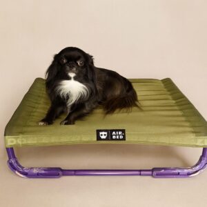 airbed letto per cani