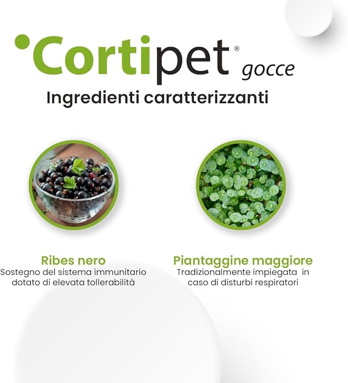 Cortipet Gocce 50 ml – Supporto Immunitario per Cani e Gatti - immagine 3