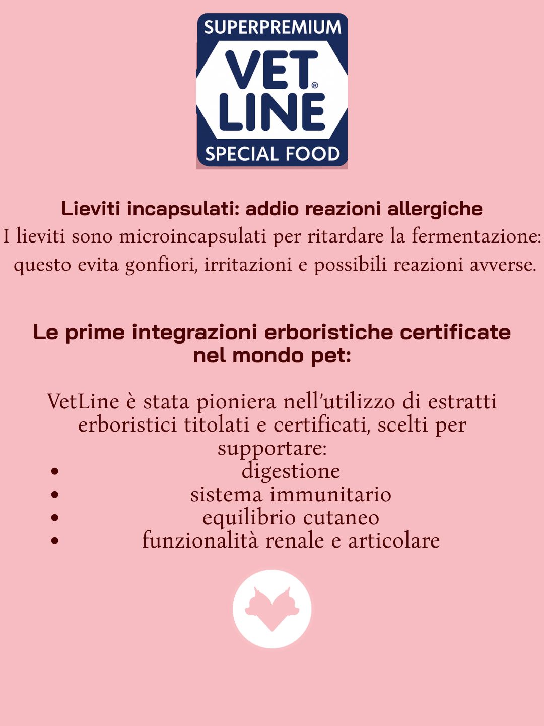 VetLine Daily Box – 10 Umidi da 400 g | Qualità Quotidiana - immagine 4