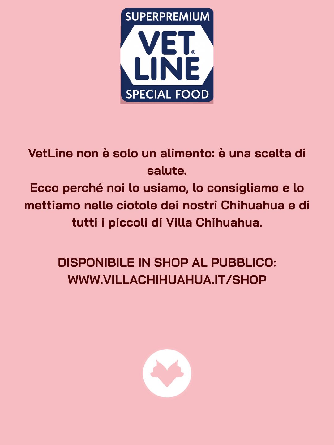 VetLine Daily Box – 10 Umidi da 400 g | Qualità Quotidiana - immagine 3