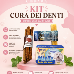 Antos Dental Care Box: per cani di piccola taglia