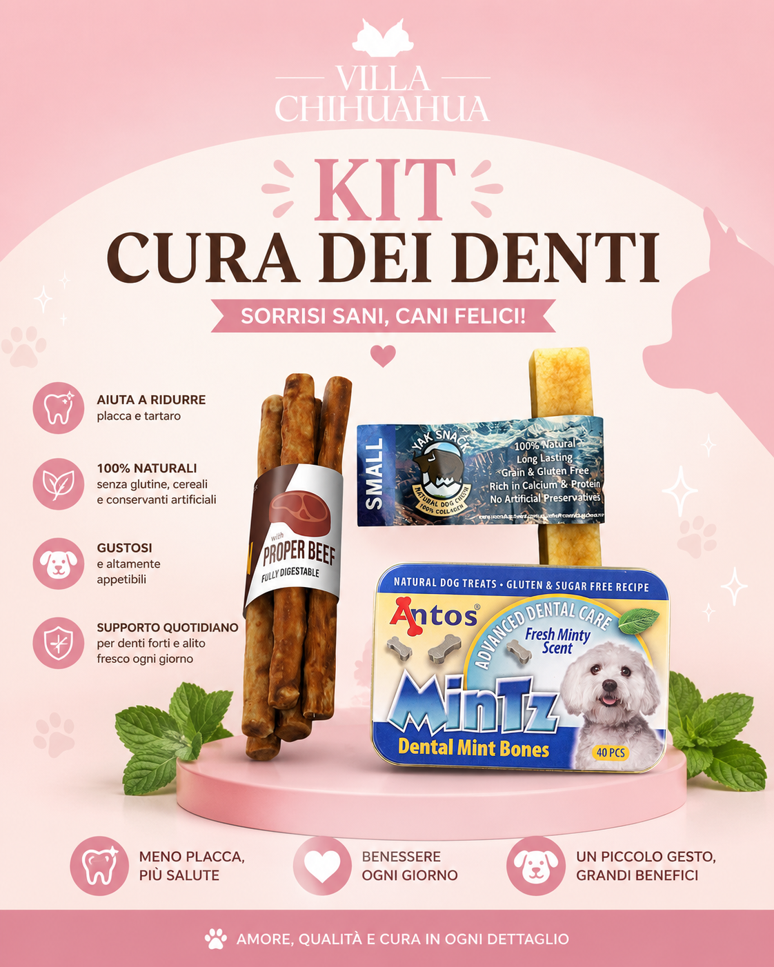 Antos Dental Care Box: per cani di piccola taglia