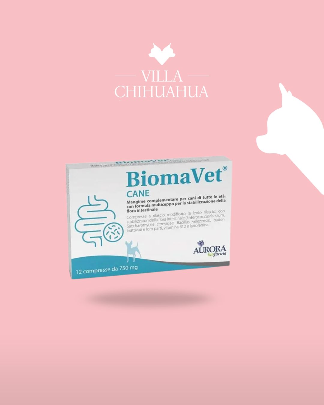 BiomaVet Cane 12 compresse – Probiotico multiceppo per l’equilibrio intestinale