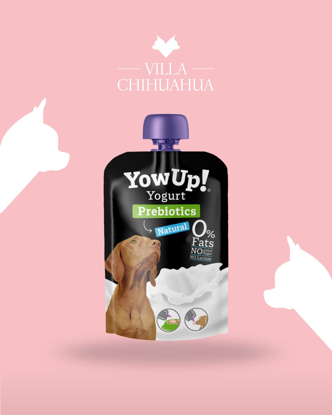 Yogurt Yummy Probiotico Naturale per Cani – 115 g | Digestione e Benessere Intestinale