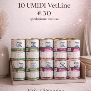 VetLine Daily Box – 10 Umidi da 400 g | Qualità Quotidiana
