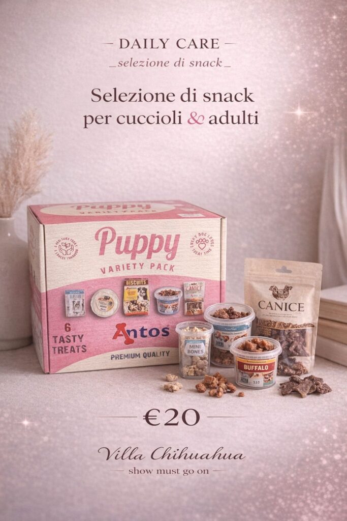 Snack Box selection per cani