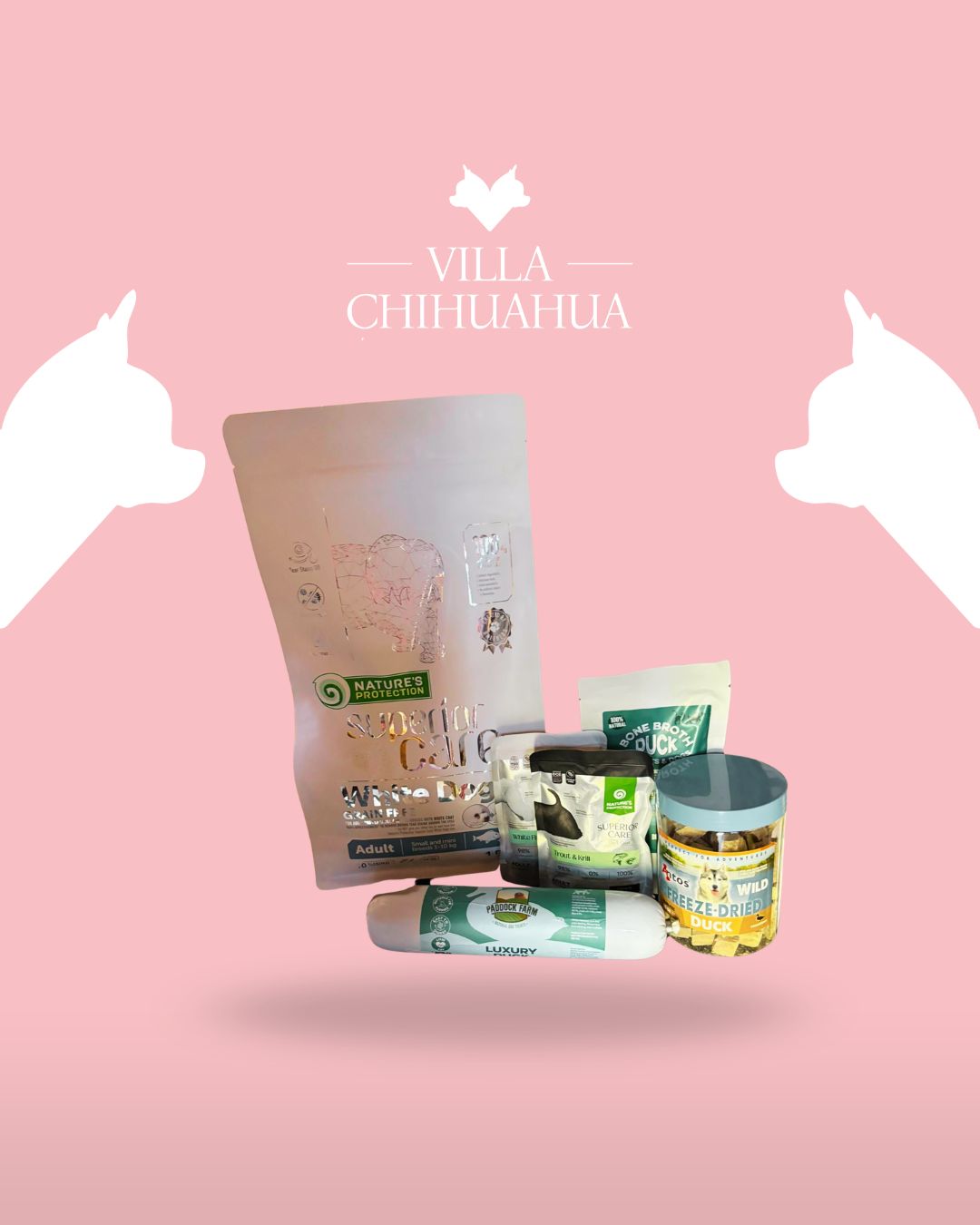 kit pappa completo per cani inappetenti con pouch nature protection crocchette e snack liofilizzato