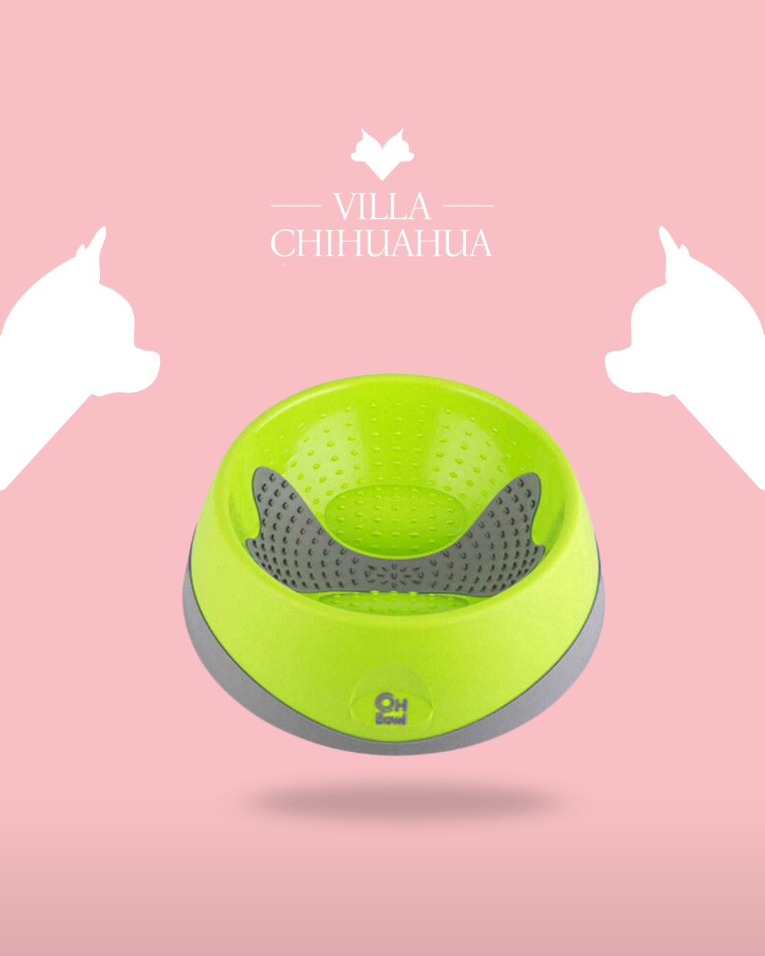 OH Bowl® Ciotola Igiene Orale per Cani Verde Antibatterica con Inserti in Gomma