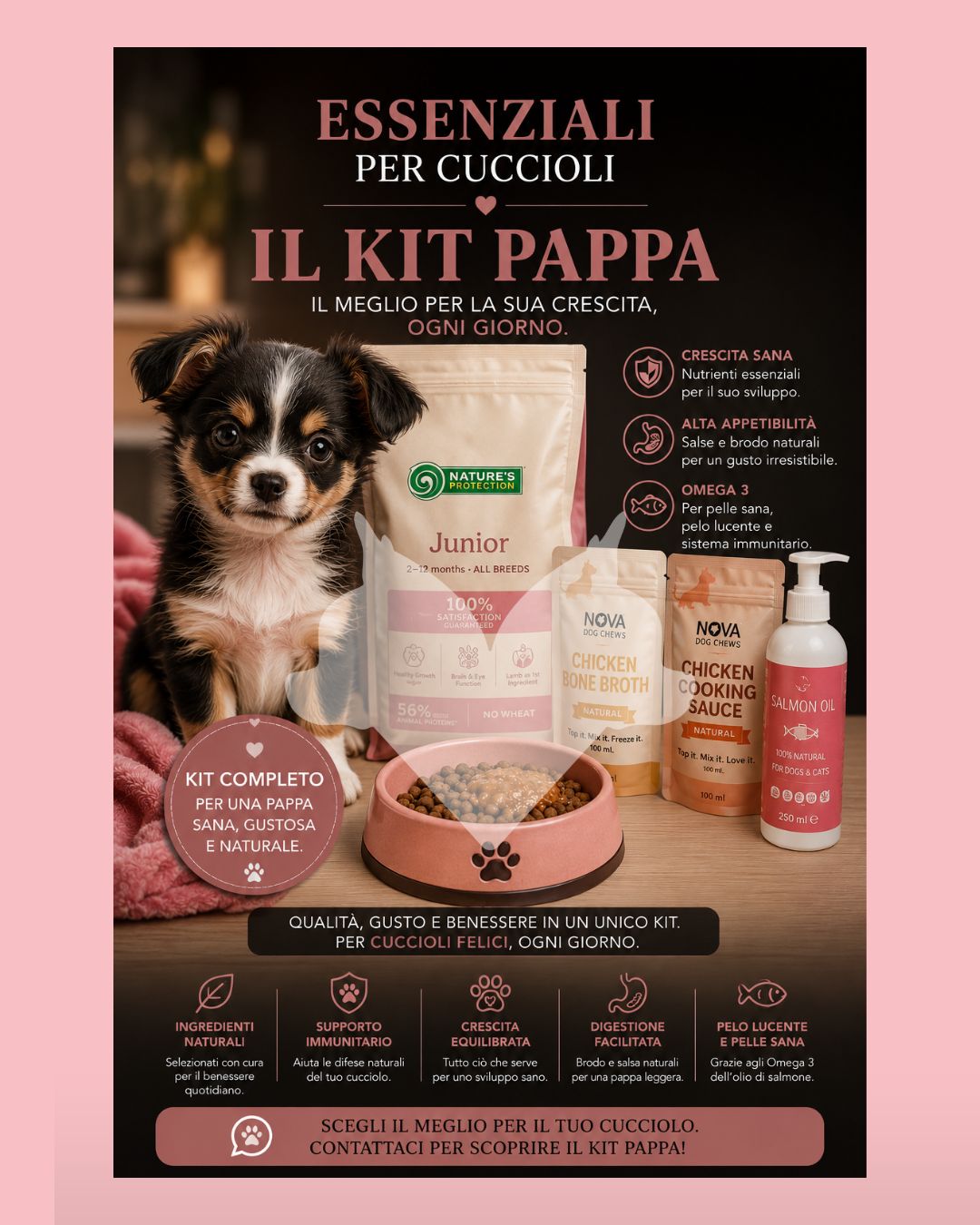 Essenziali per cuccioli: Il kit pappa per cuccioli