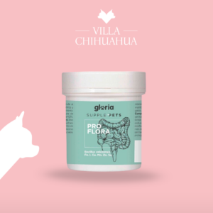 Gloria Pro Flora in Polvere 70g – Probiotici per Flora Intestinale Cane e Gatto
