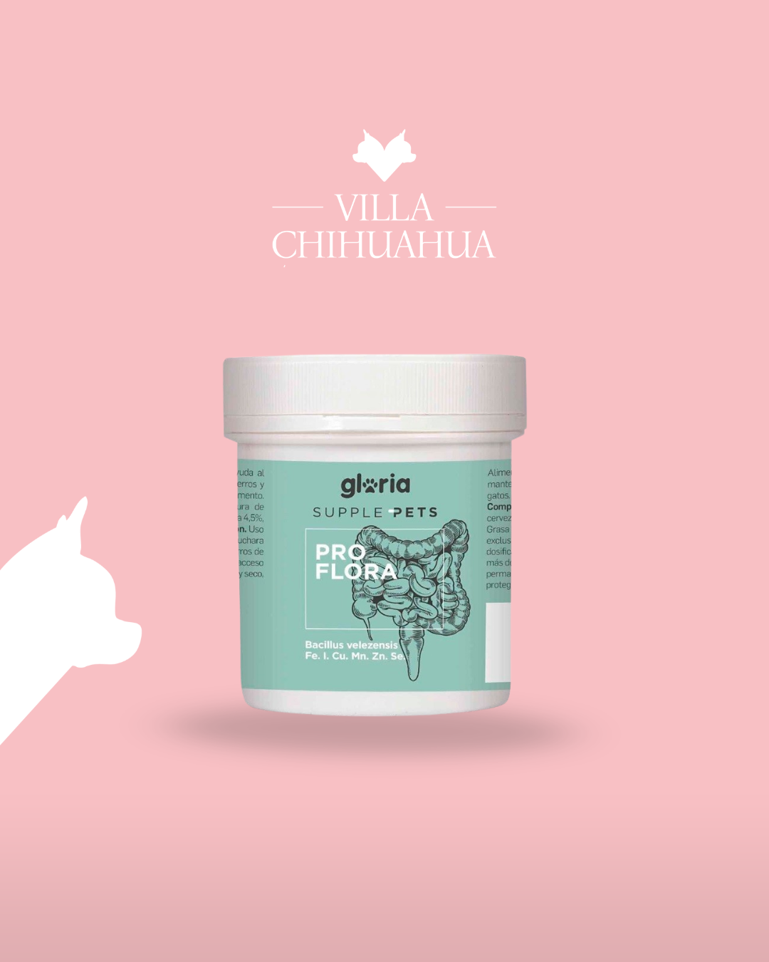 Gloria Pro Flora in Polvere 70g – Probiotici per Flora Intestinale Cane e Gatto
