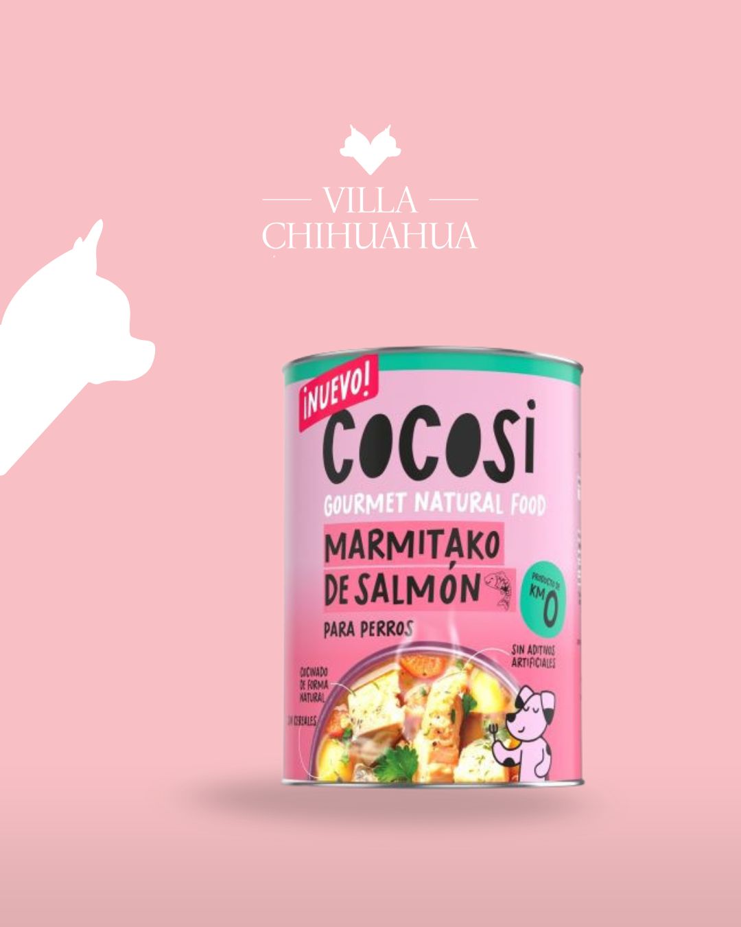 Cocosì: stufato di Salmone per Cani – Alimento casalingo Naturale Gourmet 400g