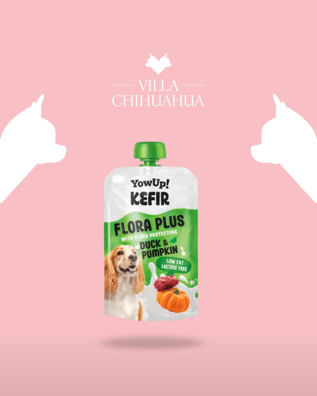 YowUp! Kefir Flora Plus Anatra e Zucca per Cani – Supporto Digestivo con Prebiotici e Postbiotici 115g