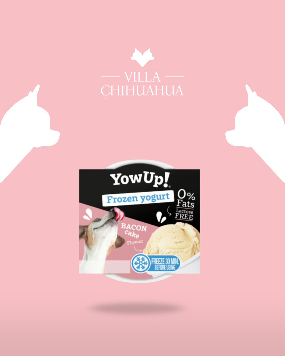 YowUp! Frozen Yogurt Bacon Cake per Cani – Gelato allo Yogurt e Bacon 110g