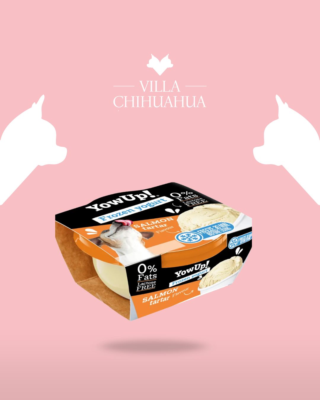 YowUp! Frozen Yogurt Salmon Tartare per Cani – Gelato allo Yogurt e Salmone 110g