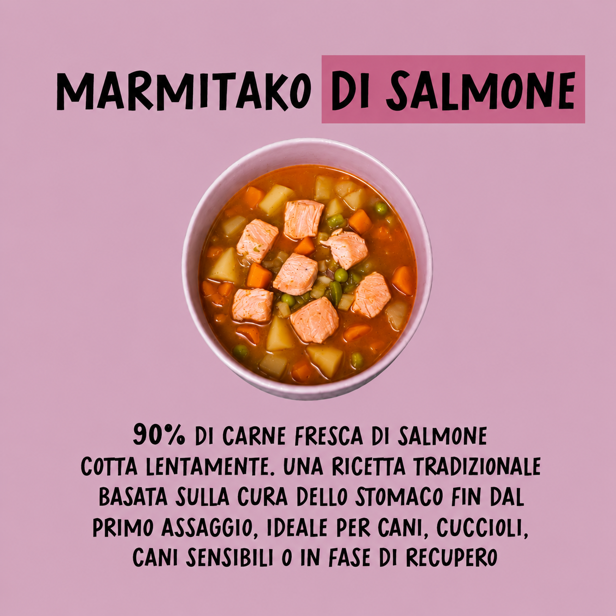 Cocosì: stufato di Salmone per Cani – Alimento casalingo Naturale Gourmet 400g - immagine 2